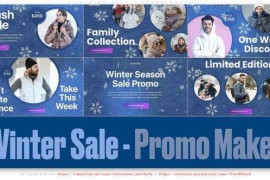 Winter Sale - Promo Maker 49426435