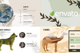 Nature Slides | DaVinci Resolve 44286610