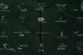 Weather Titles for DaVinci Resolve 48028038