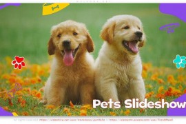 Welcome Pet 44373316