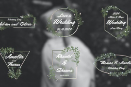 Wedding Titles 4K 50056986