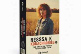 DVLOP – NESSA K – Kodachronies Presets