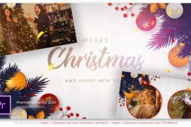 Merry Christmas Greetings 42046322