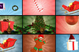 Christmas Unique Transitions 49205924