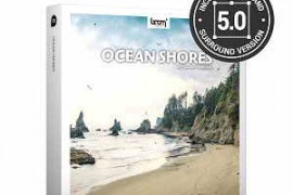 Boom Library Ocean Shores STEREO & SURROUND WAV