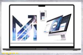 Mark Minervini – Private Access 2024