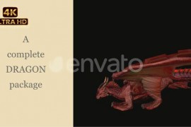 Complete Dragon Package : Red Dragon 50854631