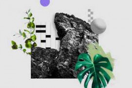 Elphnt Field WAV [FREE]