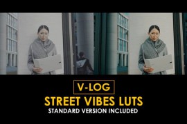 V-Log Street Vibes and Standard Color LUTs 51443660