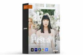 Gamut LUT – Hestia
