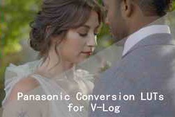Gamut – Panasonic Conversion LUTs for V-Log