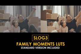 C-Log3 Family Moments and Standard Color LUTs 51128119