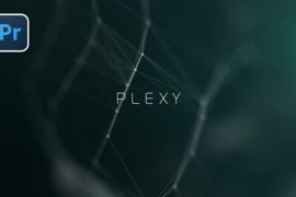 Plexy Logo Reveal | Premiere Pro 52365764