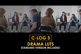 C-Log3 Drama and Standard Color LUTs 51147146