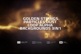Gold Particles Strings And Dust Loop Alpha Backgrounds 3in1 V02 42901000