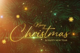 Xmas Tree Invitation 49597010