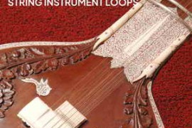 Free Download:Thaloops Ethnic World Strings WAV-FANTASTiC