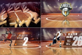 Basketball Players 48371517