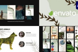 Nature Slides | After Effects 43641513