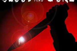 Sound Ideas Blood and Gore Sound Effects FLAC