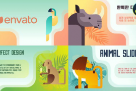 Animal Slides for DaVinci Resolve 52259321