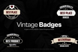 15 Vintage Badges 48091658