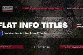 Flat Info Titles 45194090