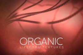 Bluezone Corporation Organic (Lifeform Textures) WAV-DISCOVER