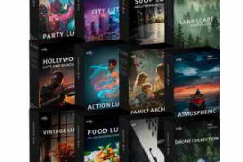 VfxStudio – All LUTS Bundle 4000+