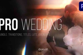 Pro Wedding Bundle for Premiere Pro – Transitions, Titles, LUTs, Overlays 57212922