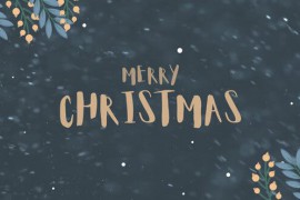 Christmas 49375589
