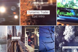 Epic Rise - Video Reel 11527296