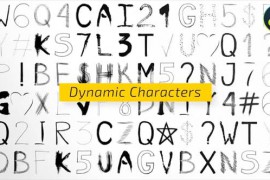 Dynamic Characters for DaVinci Resolve 49833643