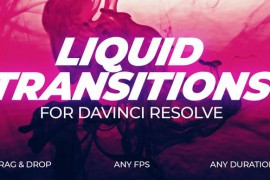 Liquid Transitions 46010886