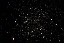 Golden Confetti Party 37546756