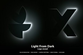 Light Logo Reveal 49635139
