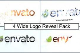 Wide Logo Reveal Pack 7045874