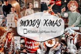 Filtergrade – Moody Xmas Lightroom Presets ,Action and ACR