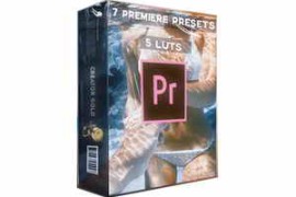 Media Monopoly Creator Gold Preset Bundle (Premiere Effects & Luts)