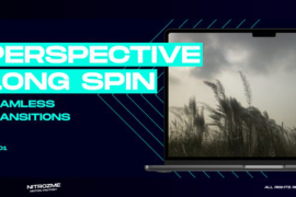 Perspective Long Spin Transitions Vol. 01 47617042