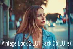 Daniel Shiffer – Vintage Look 2 LUT Pack (15 LUTs)