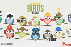 Explainer Birds Toolkit 11365647
