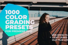 1000 Cinematic Color Presets - Lut Pack for Premiere Pro 24589977