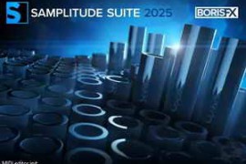Free Download:Boris FX Samplitude Suite v2025.0.3.25267