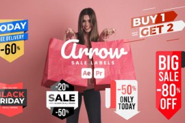 Arrow Sale Labels 51042937