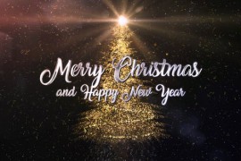 Christmas Tree 29789112