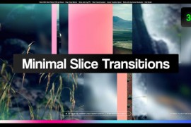 Minimal Slice Transitions 49924946