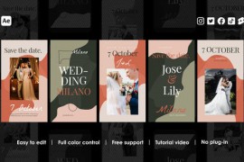 Marriage Instagram Reels 48694998