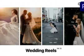 Wedding Reels for Premiere Pro Vol. 12 49377014