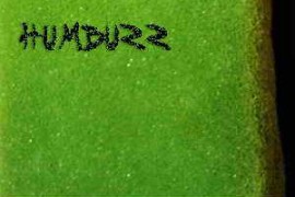 Detunized HumBuzz Universal WAV